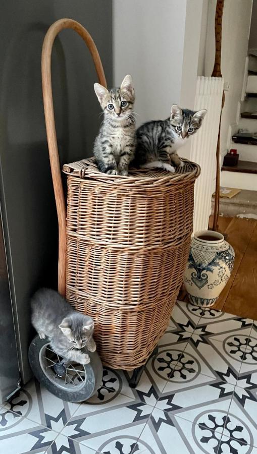 Maison Du Bonheur Villiers sur Marne Bagian luar foto